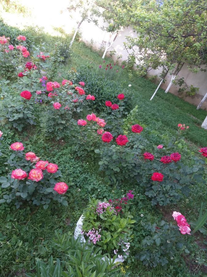 Shymhostle Hostel Shymkent Ngoại thất bức ảnh