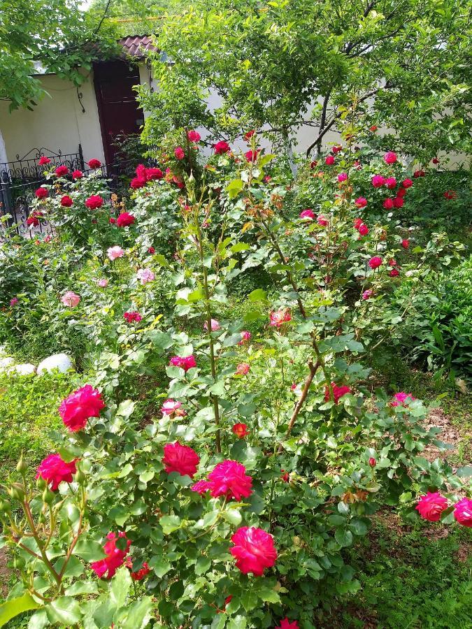 Shymhostle Hostel Shymkent Ngoại thất bức ảnh